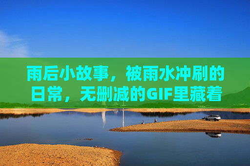 雨后小故事，被雨水冲刷的日常，无删减的GIF里藏着生活的温度，雨后小故事，无删减GIF里藏着的生活温度