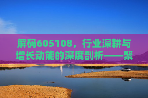 解码605108，行业深耕与增长动能的深度剖析——聚焦核心业务与市场表现，解码605108，行业深耕与增长动能的深度剖析——聚焦核心业务与市场表现