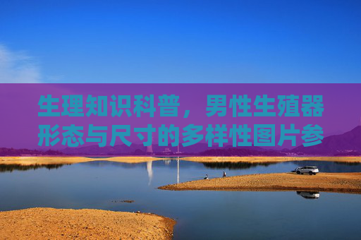 生理知识科普，男性生殖器形态与尺寸的多样性图片参考，生理知识科普，男性生殖器形态与尺寸的多样性图片参考
