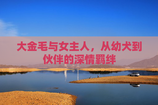 大金毛与女主人,从幼犬到伙伴的深情羁绊 大金毛与女主人,从幼犬到伙伴的深情羁绊