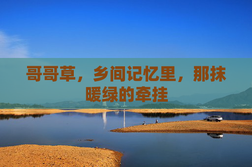 哥哥草，乡间记忆里，那抹暖绿的牵挂