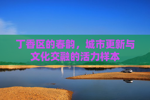 丁香区的春韵，城市更新与文化交融的活力样本