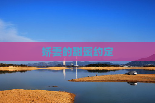 娇妻的甜蜜约定 娇妻的甜蜜约定