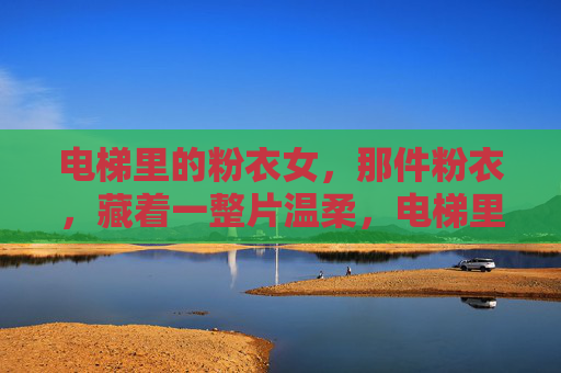 电梯里的粉衣女,那件粉衣,藏着一整片温柔,电梯里的粉衣女,那件粉衣,藏着一整片温柔 电梯里的粉衣女,那件粉衣,藏着一整片温柔,电梯里的粉衣女,那件粉衣,藏着一整片温柔