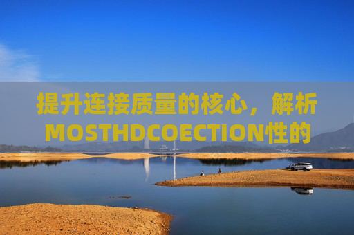 提升连接质量的核心,解析MOSTHDCOECTION性的技术价值与应用前景 提升连接质量的核心,解析MOSTHDCOECTION性的技术价值与应用前景