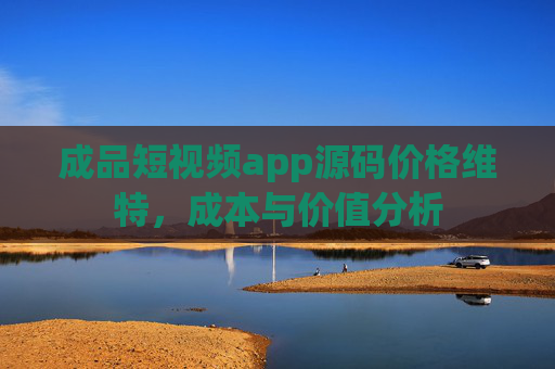 成品短视频app源码价格维特，成本与价值分析