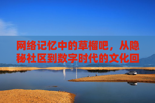 网络记忆中的草榴吧，从隐秘社区到数字时代的文化回响