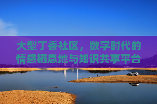大型丁香社区，数字时代的情感栖息地与知识共享平台