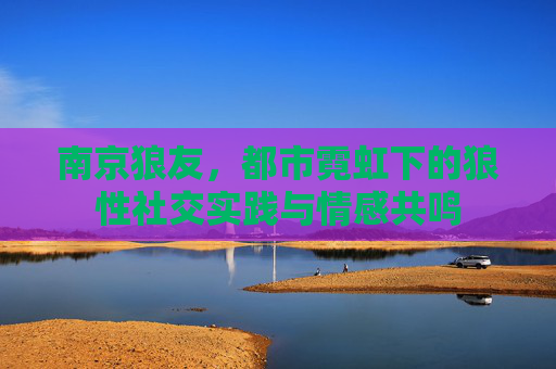 南京狼友，都市霓虹下的狼性社交实践与情感共鸣