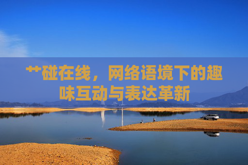 艹碰在线，网络语境下的趣味互动与表达革新
