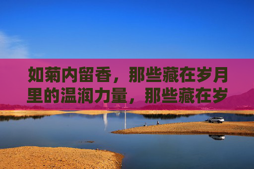 如菊内留香，那些藏在岁月里的温润力量，那些藏在岁月里的温润力量，如暖阳般照亮心间
