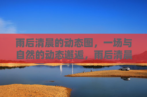 雨后清晨的动态图，一场与自然的动态邂逅，雨后清晨的动态图，一场与自然的动态邂逅
