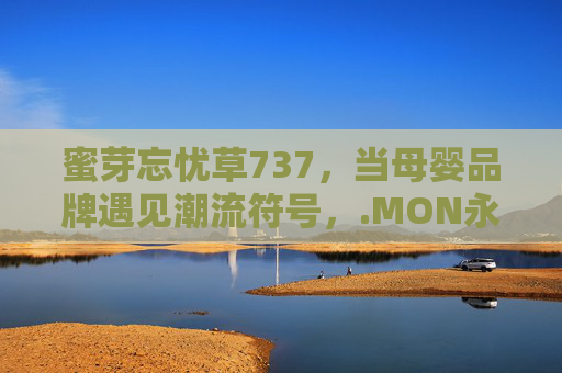 蜜芽忘忧草737，当母婴品牌遇见潮流符号，.MON永不失联的温暖陪伴