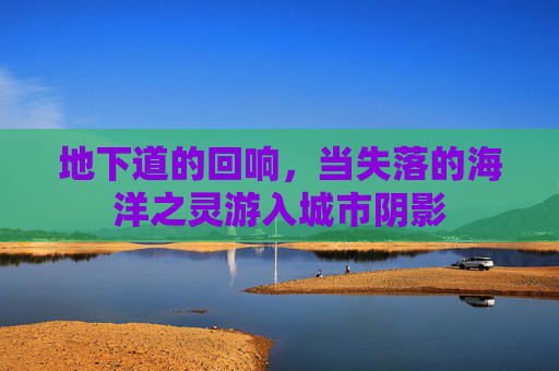 地下道的回响，当失落的海洋之灵游入城市阴影
