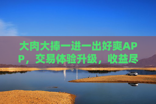 大肉大捧一进一出好爽APP，交易体验升级，收益尽在掌握！