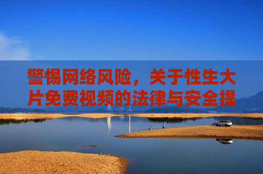 警惕网络风险，关于性生大片免费视频的法律与安全提示
