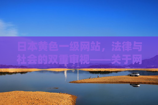 日本黄色一级网站，法律与社会的双重审视——关于网络不良信息传播的警示