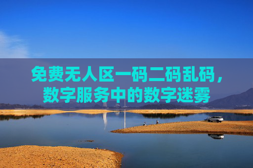 免费无人区一码二码乱码，数字服务中的数字迷雾