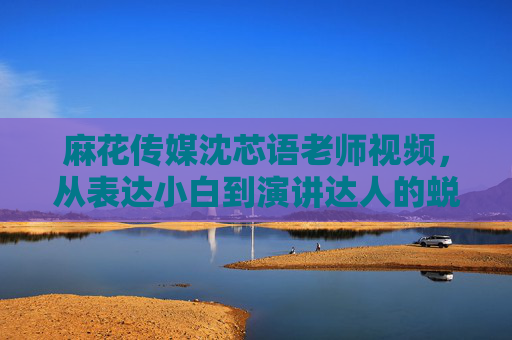 麻花传媒沈芯语老师视频，从表达小白到演讲达人的蜕变之旅——深度解析课程价值与实战技巧
