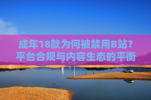 成年18款为何被禁用B站？平台合规与内容生态的平衡考量