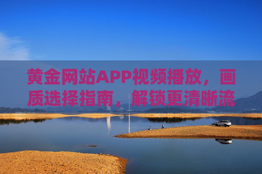黄金网站APP视频播放，画质选择指南，解锁更清晰流畅的观影体验