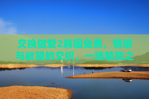 交换做爱2韩国免费，情感与欲望的交织，一场禁忌之恋的深度剖析