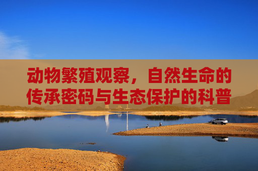 动物繁殖观察,自然生命的传承密码与生态保护的科普启示——专业纪录片解析及知识分享,动物繁殖观察,自然生命传承密码与生态保护的科普启示——专业纪录片解析及知识分享 动物繁殖观察,自然生命的传承密码与生态保护的科普启示——专业纪录片解析及知识分享,动物繁殖观察,自然生命传承密码与生态保护的科普启示——专业纪录片解析及知识分享