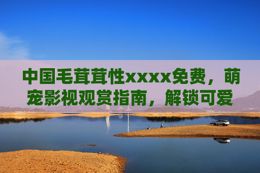 中国毛茸茸性xxxx免费，萌宠影视观赏指南，解锁可爱萌宠的治愈时刻