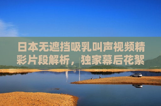 日本无遮挡吸乳叫声视频精彩片段解析，独家幕后花絮，揭秘那些被隐藏的瞬间——从镜头语言到情感共鸣的深度解读