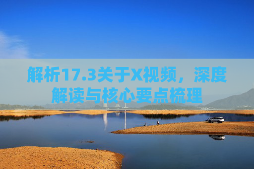 解析17.3关于X视频，深度解读与核心要点梳理