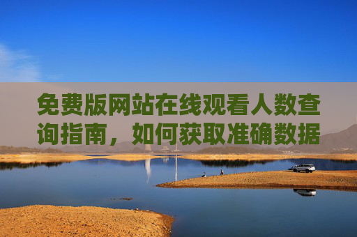 免费版网站在线观看人数查询指南，如何获取准确数据？
