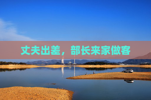 丈夫出差，部长来家做客