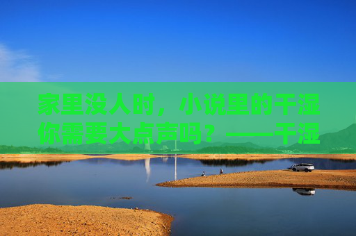 家里没人时，小说里的干湿你需要大点声吗？——干湿你第7章读后感