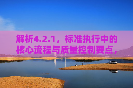 解析4.2.1，标准执行中的核心流程与质量控制要点，解析4.2.1，标准执行的核心流程与质量控制要点