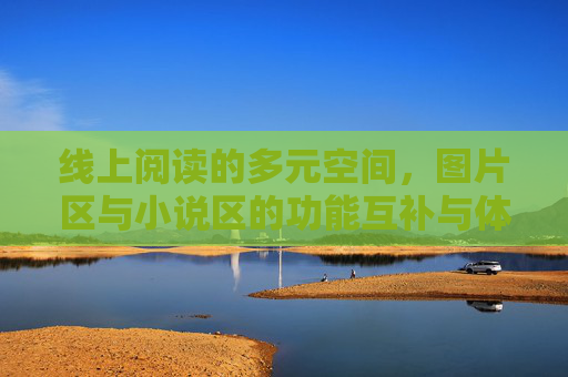 线上阅读的多元空间，图片区与小说区的功能互补与体验融合，线上阅读的多元空间，图片区与小说区的功能互补与体验融合