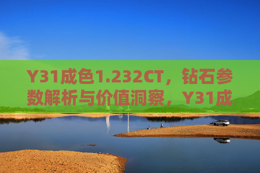 Y31成色1.232CT，钻石参数解析与价值洞察，Y31成色1.232CT钻石，参数解析与价值洞察