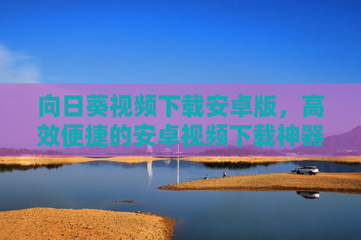 向日葵视频下载安卓版，高效便捷的安卓视频下载神器，向日葵视频下载安卓版，高效便捷的安卓视频下载神器