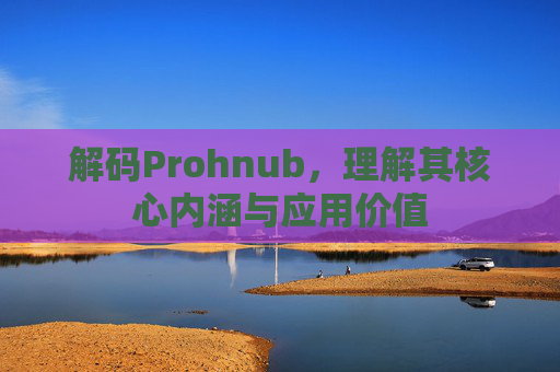 解码Prohnub，理解其核心内涵与应用价值
