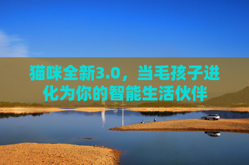 猫咪全新3.0，当毛孩子进化为你的智能生活伙伴