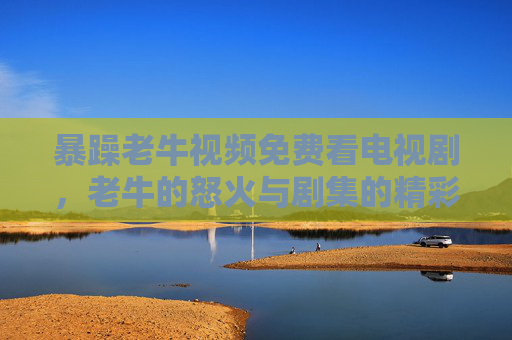 暴躁老牛视频免费看电视剧，老牛的怒火与剧集的精彩，一键解锁追剧新体验