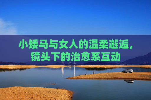 小矮马与女人的温柔邂逅，镜头下的治愈系互动