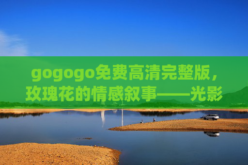 gogogo免费高清完整版，玫瑰花的情感叙事——光影里的浪漫与深情