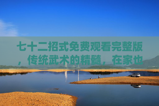 七十二招式免费观看完整版，传统武术的精髓，在家也能轻松掌握