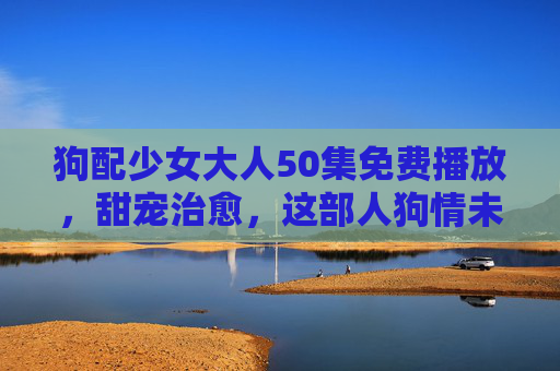 狗配少女大人50集免费播放，甜宠治愈，这部人狗情未了的剧值得追！