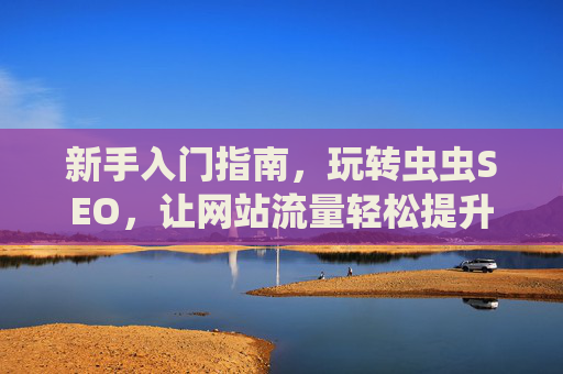 新手入门指南，玩转虫虫SEO，让网站流量轻松提升，新手入门指南，玩转虫虫SEO，轻松提升网站流量