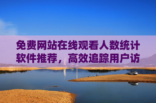 免费网站在线观看人数统计软件推荐，高效追踪用户访问数据的工具指南