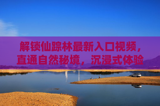 解锁仙踪林最新入口视频，直通自然秘境，沉浸式体验最新入口指南