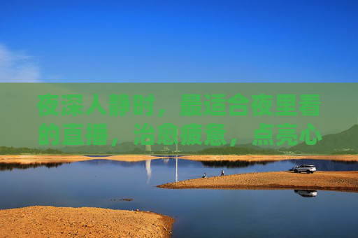 夜深人静时，最适合夜里看的直播，治愈疲惫，点亮心灯，夜深人静时，治愈疲惫的直播，点亮心灯
