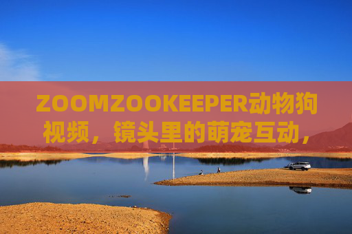 ZOOMZOOKEEPER动物狗视频，镜头里的萌宠互动，让爱犬日常更有温度与趣味