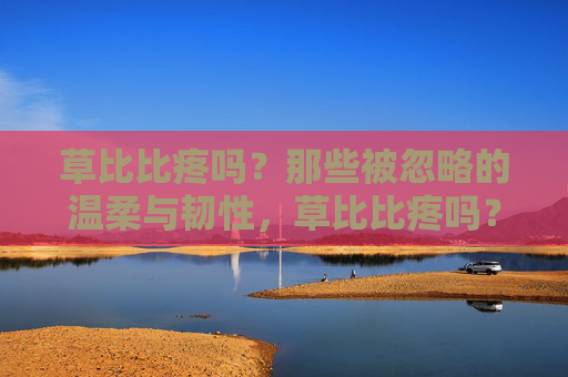 草比比疼吗？那些被忽略的温柔与韧性，草比比疼吗？那些被忽略的温柔与韧性
